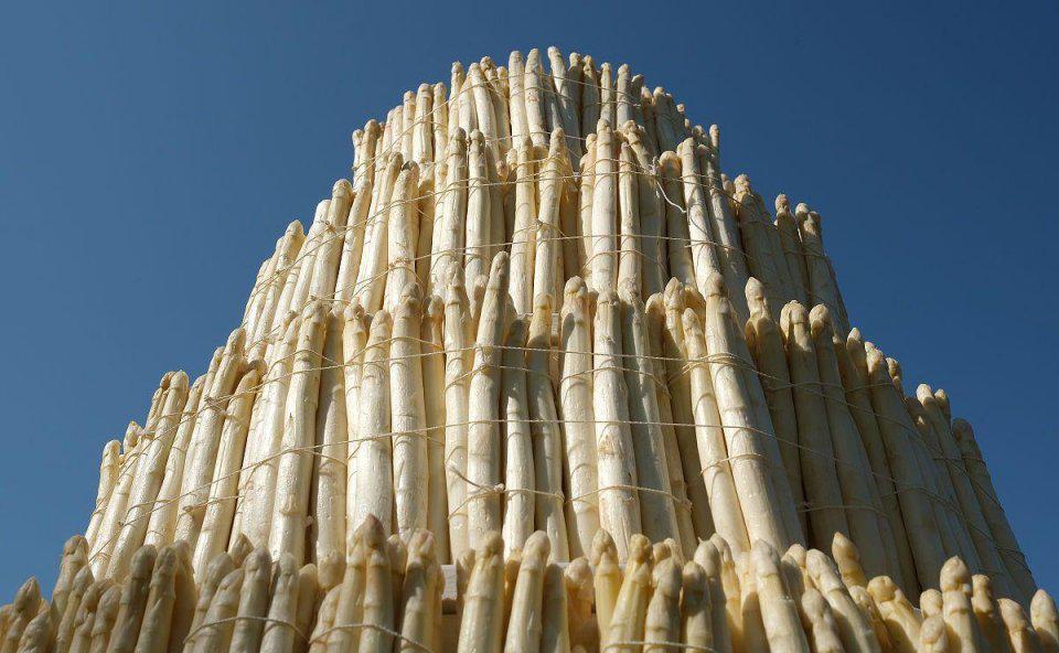 堪称天价的顶级食材,哪些顶级的食材市场上是买不到的