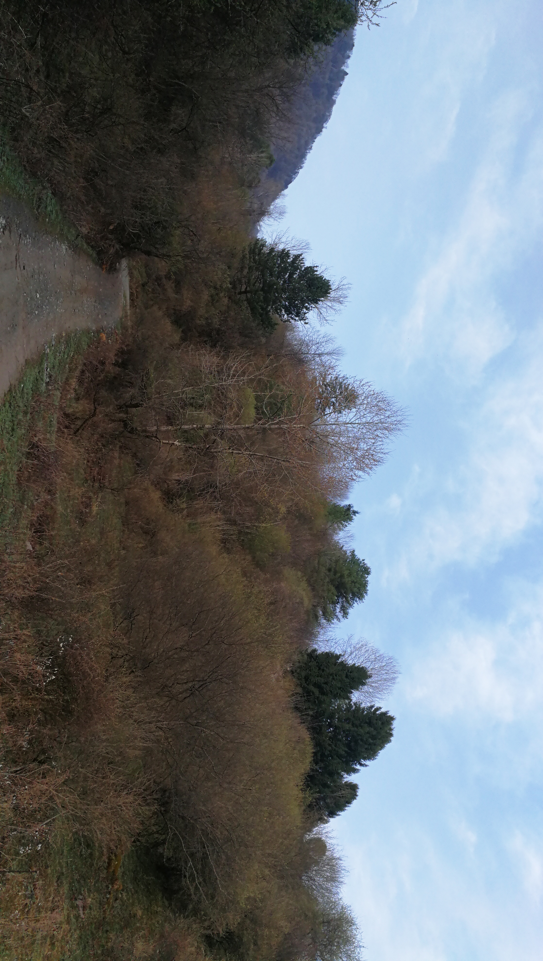 西安周至踏青赏花的路线攻略,周至老县城旅游攻略