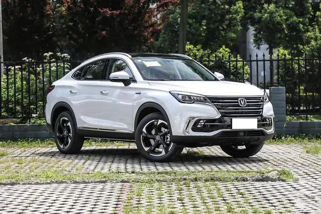 终于没白等,终于没有白等