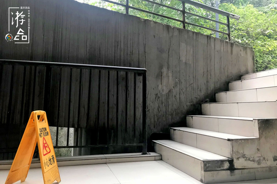 重庆站点最多的公交车,重庆停靠在8楼的2路电车