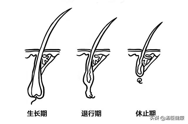 身上的皮肤可以移植到脸上吗,毛发可以移植到头皮吗