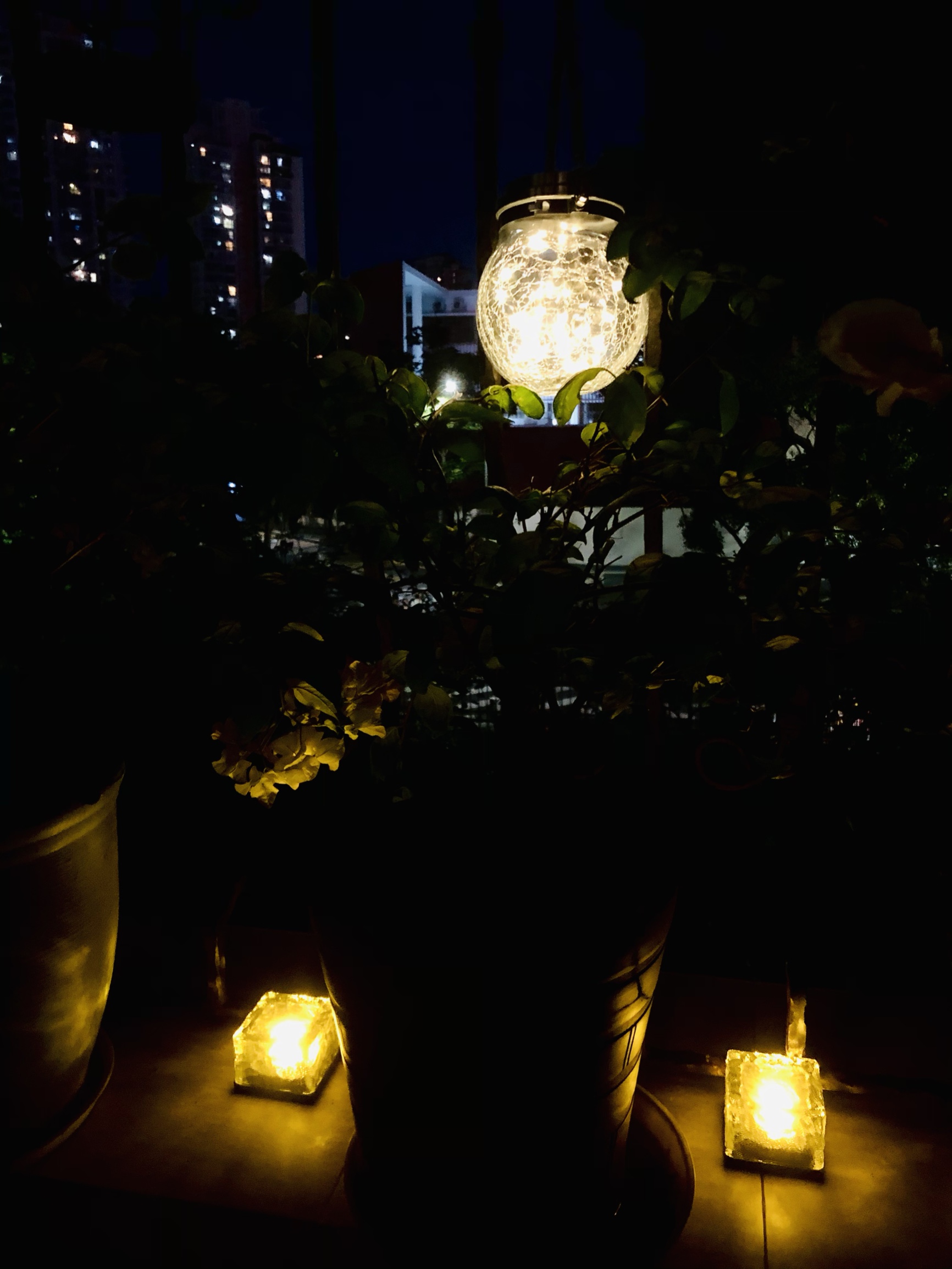 阳台花园改造封闭式设计,全封闭式阳台100款阳台花园设计图