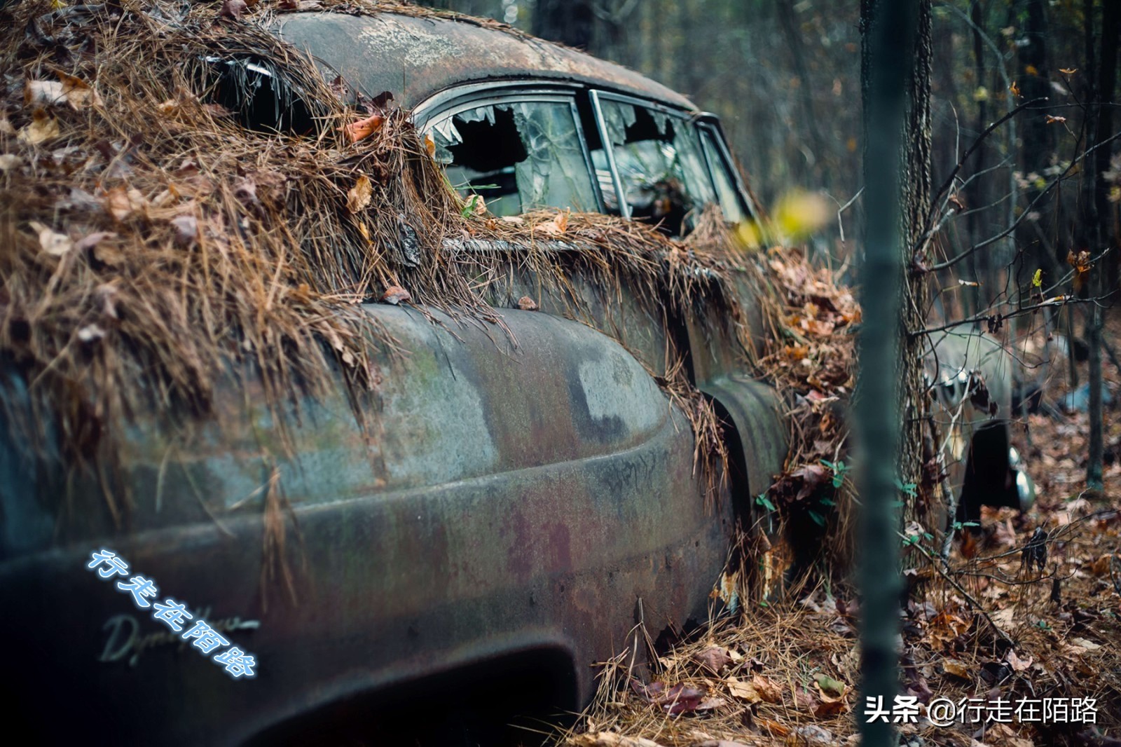 最值钱的废品,最值钱的废品回收