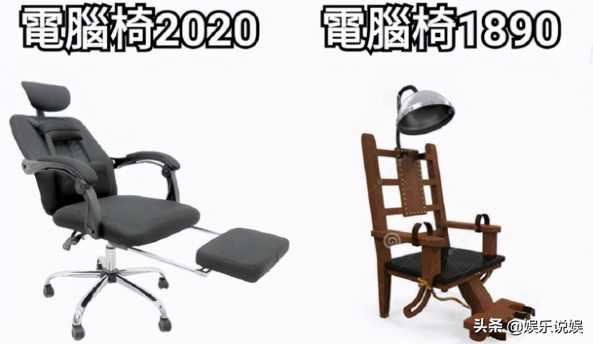 每日一笑,请问发骚门诊怎么走?大自然也好这口?纯白至臻小猫咪