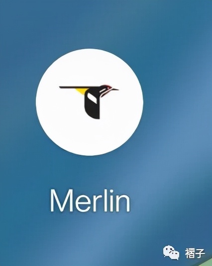 带上单筒望远镜吧！去南汇