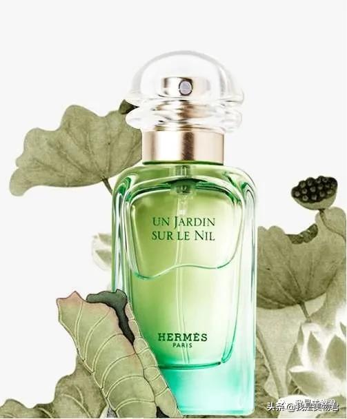 夏天的味道是淡淡的香味很好闻,夏天的味道小清新卡点