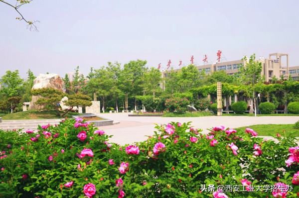 就业好工资高,就业好工资待遇高