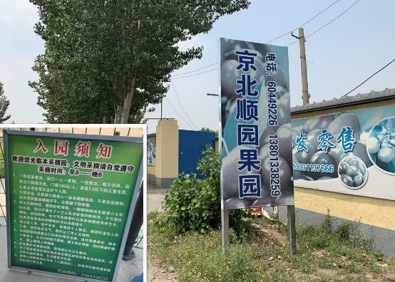 哈弗f7x的樱桃烧烤季,对的时间做对的事英语短句