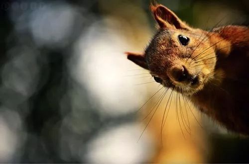 广东适合治愈心情的地方,旅游治愈心情的地方