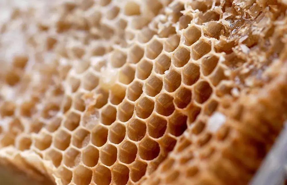 是不是大部分人都有密集恐惧症,密集恐惧症并不可怕