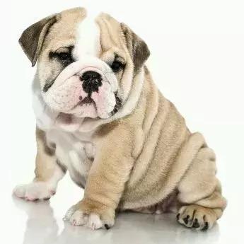 外地人想学的天津话,天津人都学不会天津话