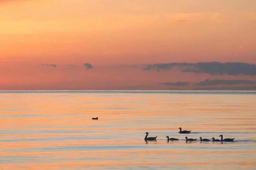 100句激励人心的励志诗句,励志诗词名句朗诵