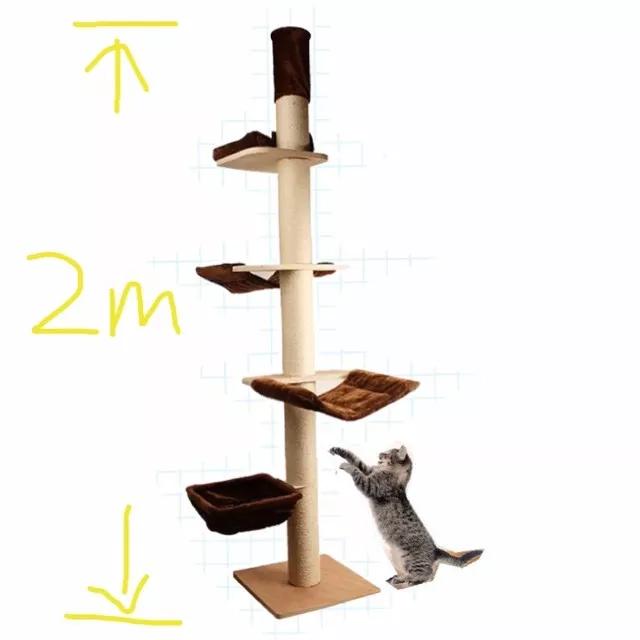 最实用猫抓板,如何挑选猫抓板