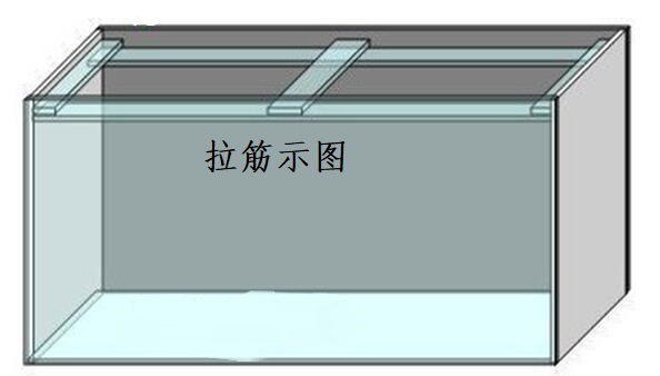 小型鱼缸过滤怎么设计,家庭鱼缸定制注意事项
