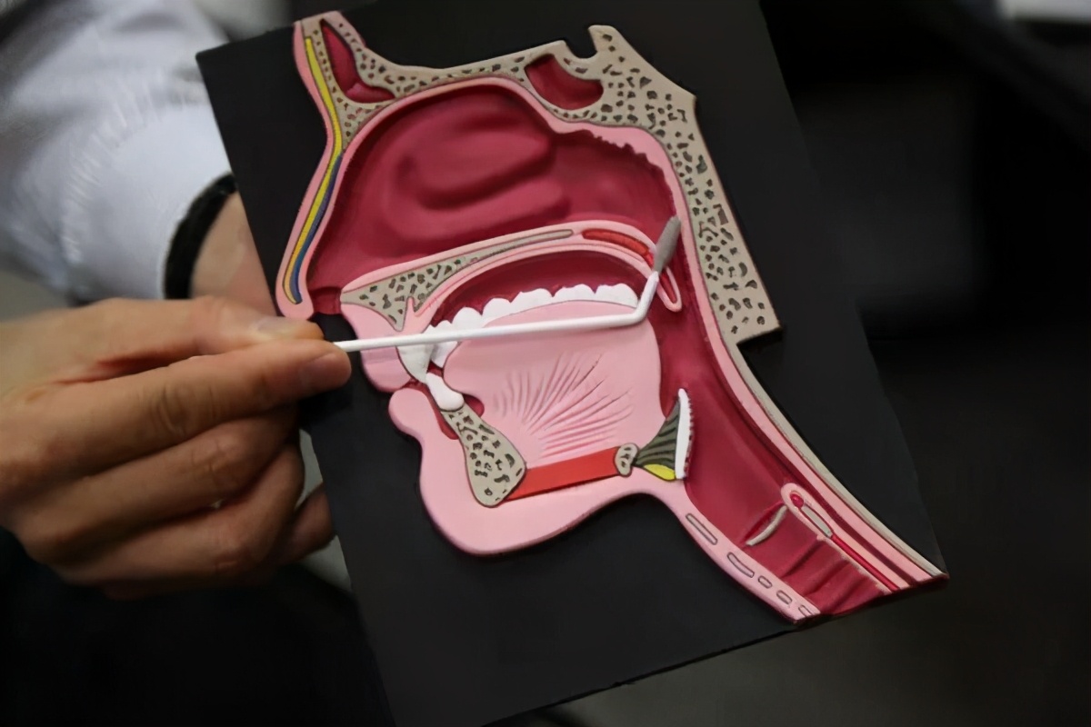 舌头溃疡牛黄解毒片吃几天能下火,牛黄解毒片治什么火