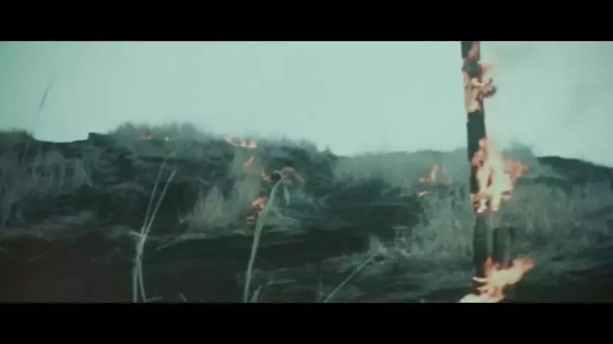 日本粉红系列电影,日本粉红系列经典电影