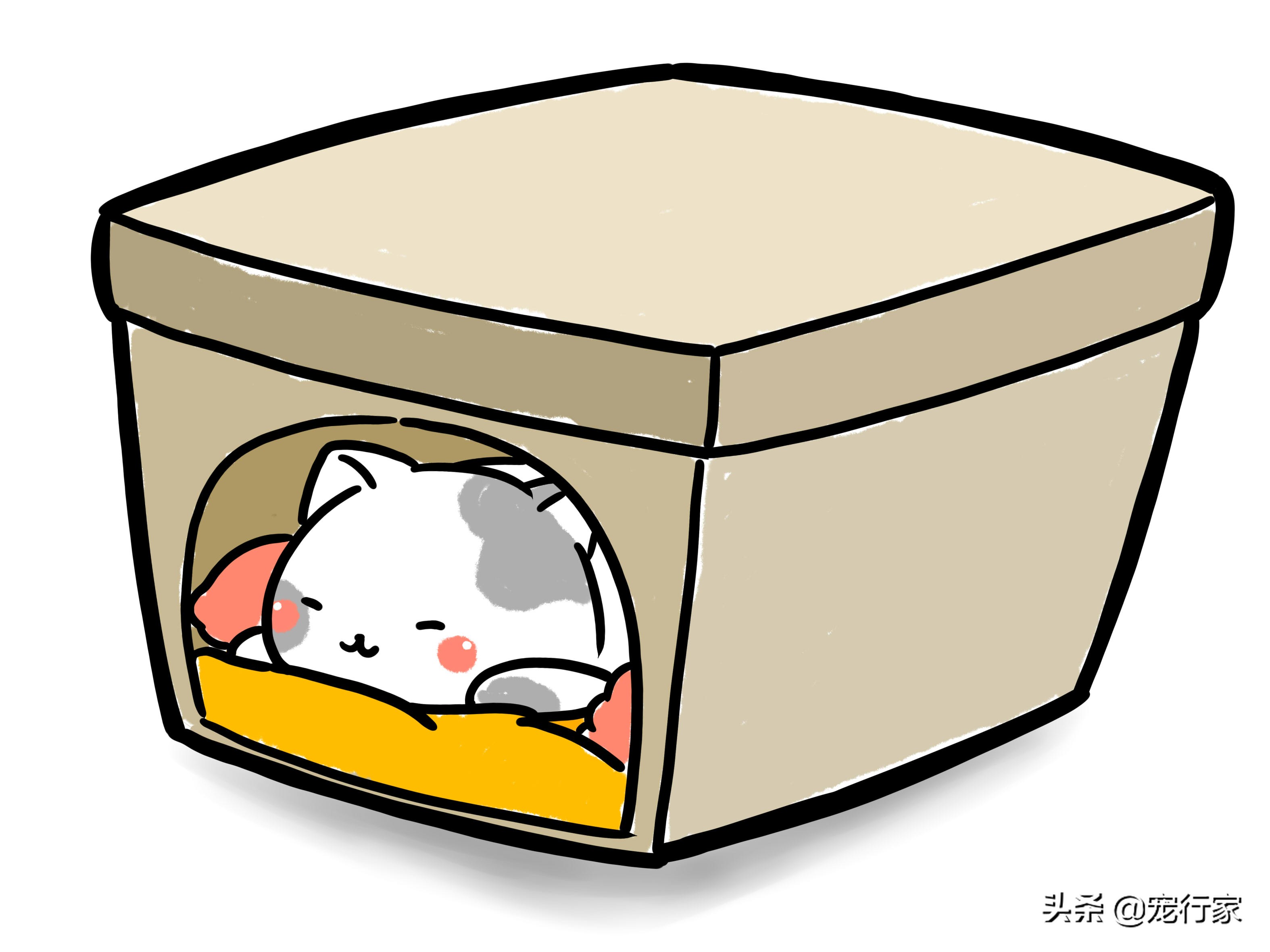 小猫刚生母猫没有母乳可以养活吗,刚出生三天的小猫没有猫妈妈