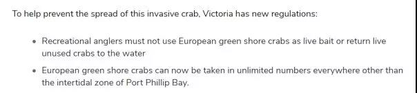 澳洲抓超大青蟹,澳洲青蟹捕捉