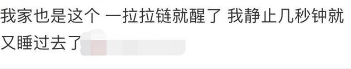 最新好用蚊帐推荐款有哪些,蚊帐哪种款式好用测评