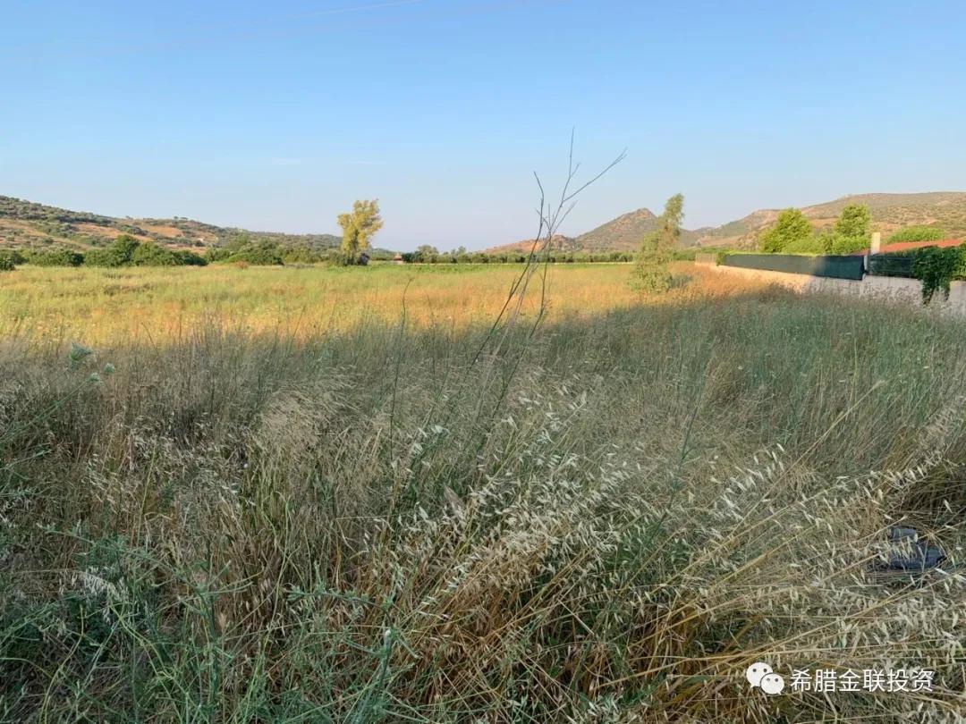希腊农地价格,希腊土地多少钱一亩