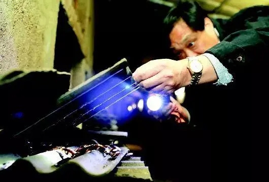 男子辞职养3亿只蟑螂,大叔投资千万元养蟑螂