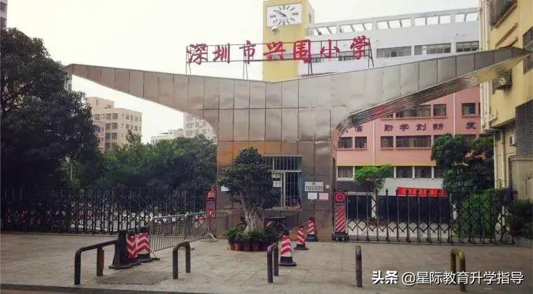 深圳宝安区幼升小积分政策,宝安区2023幼升小入学最新数据