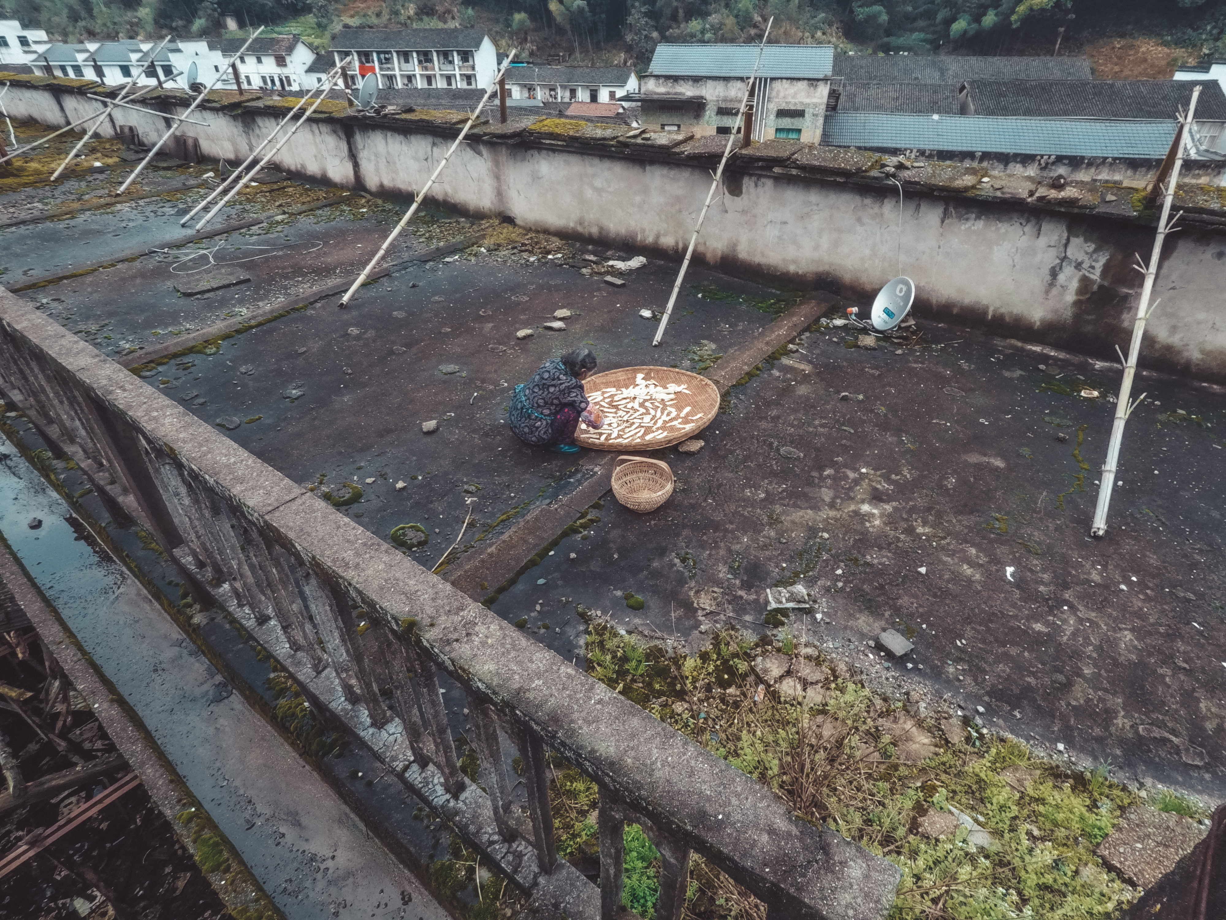 绿水青山的垦殖场