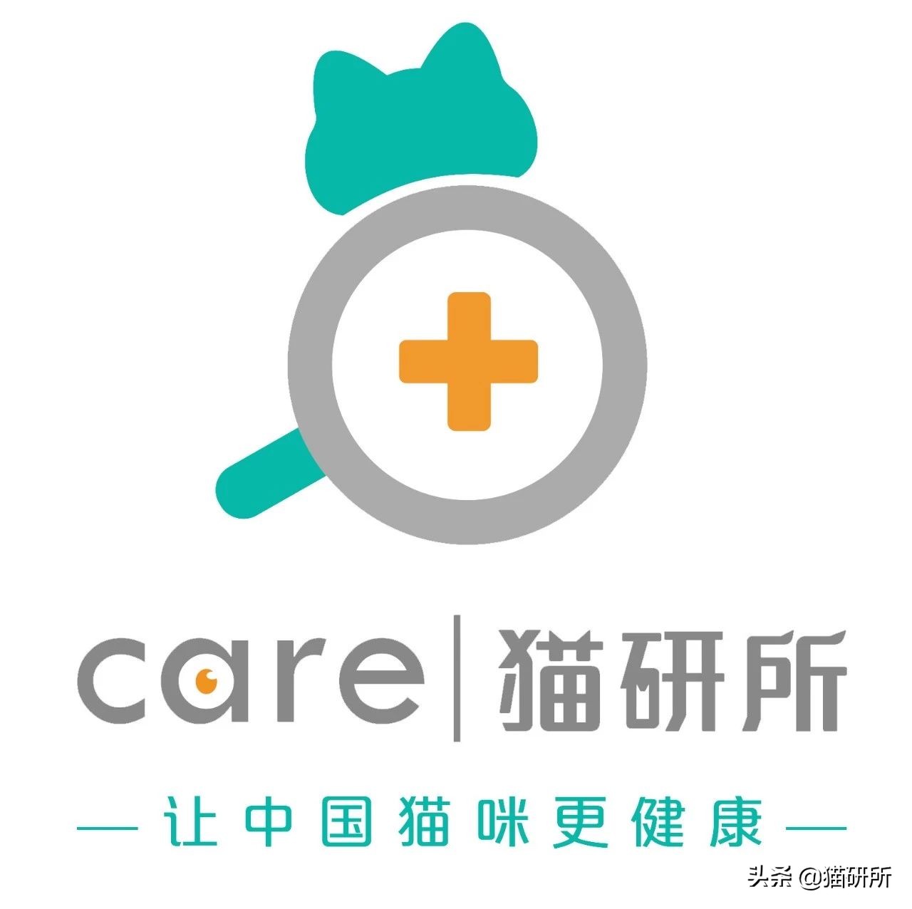 猫咪睡觉时抽搐颤抖,猫咪睡觉的时候抽搐是什么情况