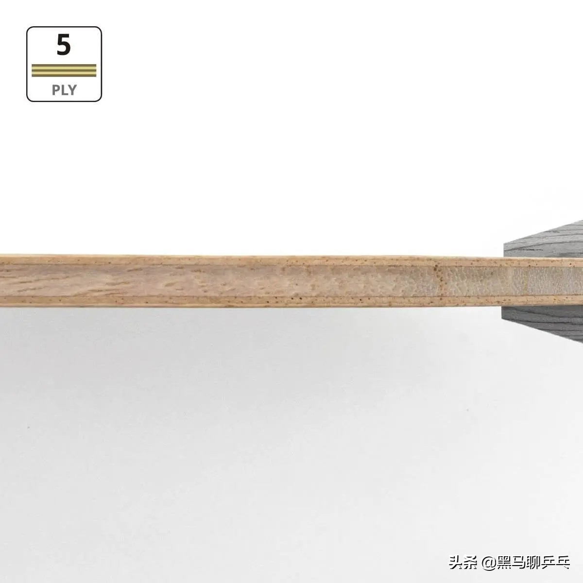 蝴蝶新出的几款底板推荐,蝴蝶vis底板的三大胶皮最佳搭配