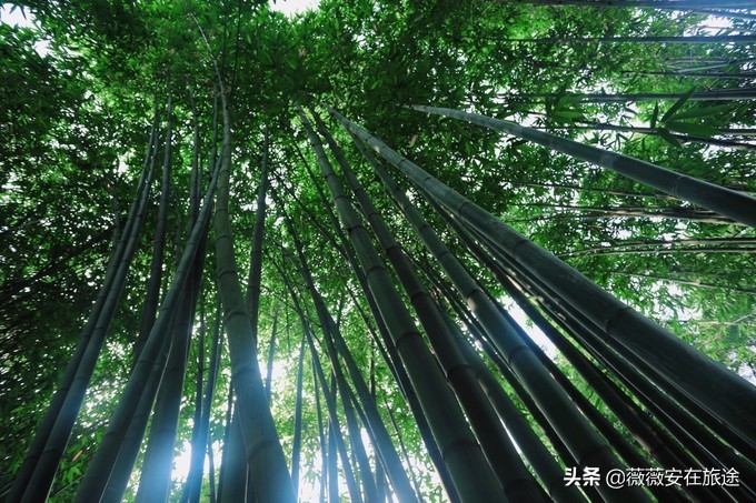 成都小众吃法大全,成都最难忘的100种吃法