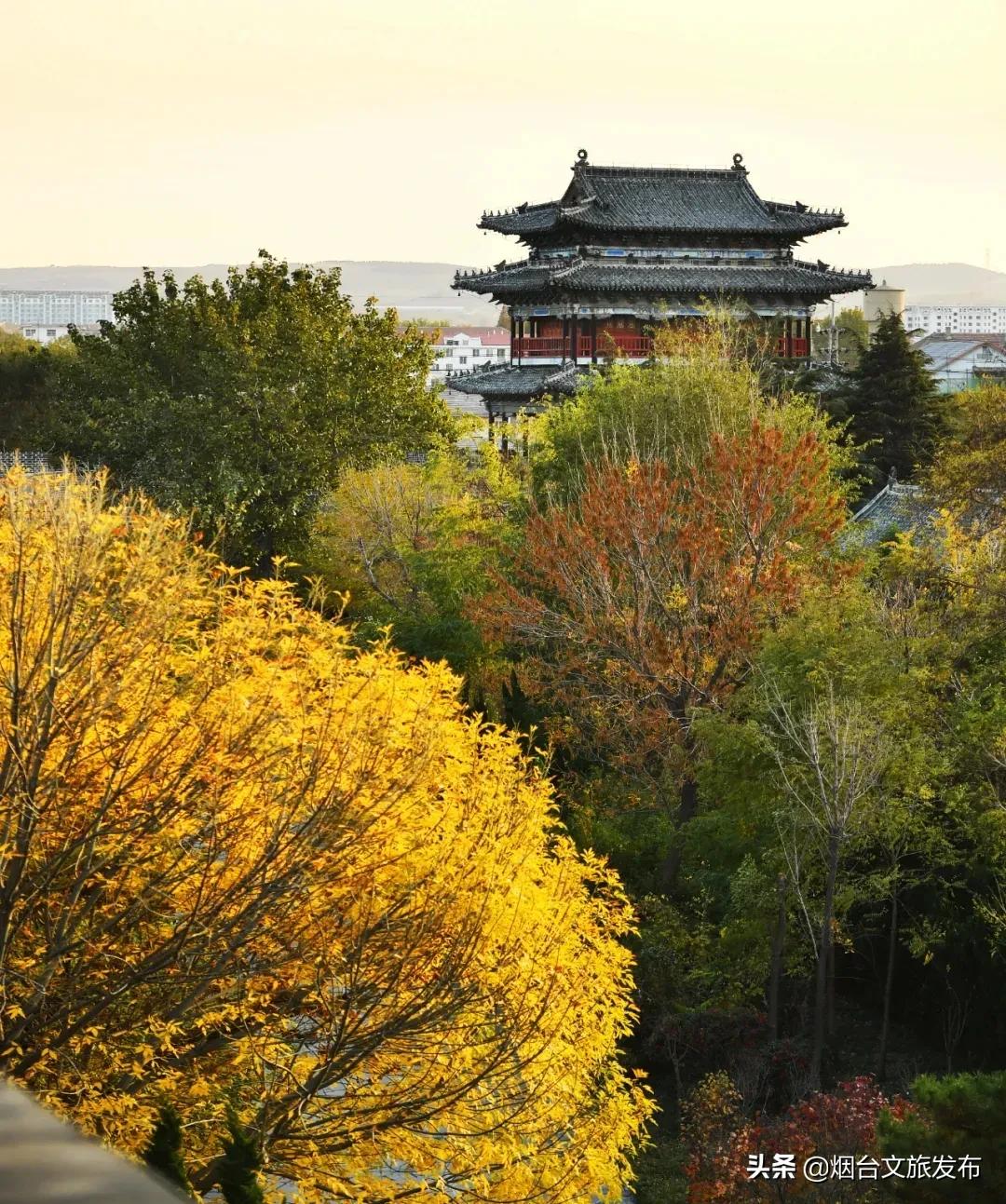 冬天蓬莱好吃的,鲜美蓬莱