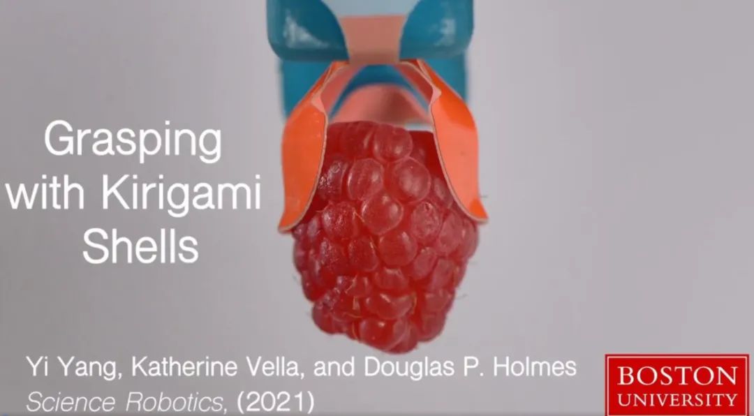 中国科学家研究纳米机器人,中国科学家团队发明的机器人