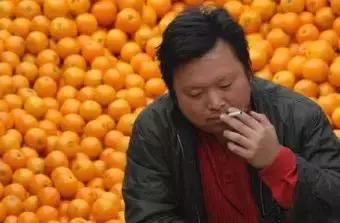 柑橘害虫的防治方法,种植柑橘需要防治哪些害虫