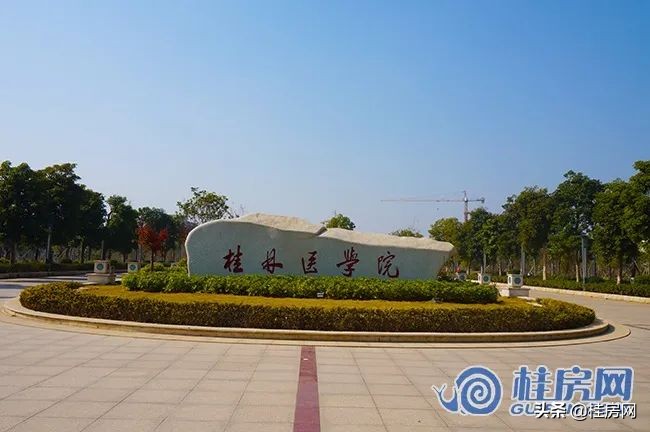 临桂买房板块分析,灵川临桂哪个楼盘最好