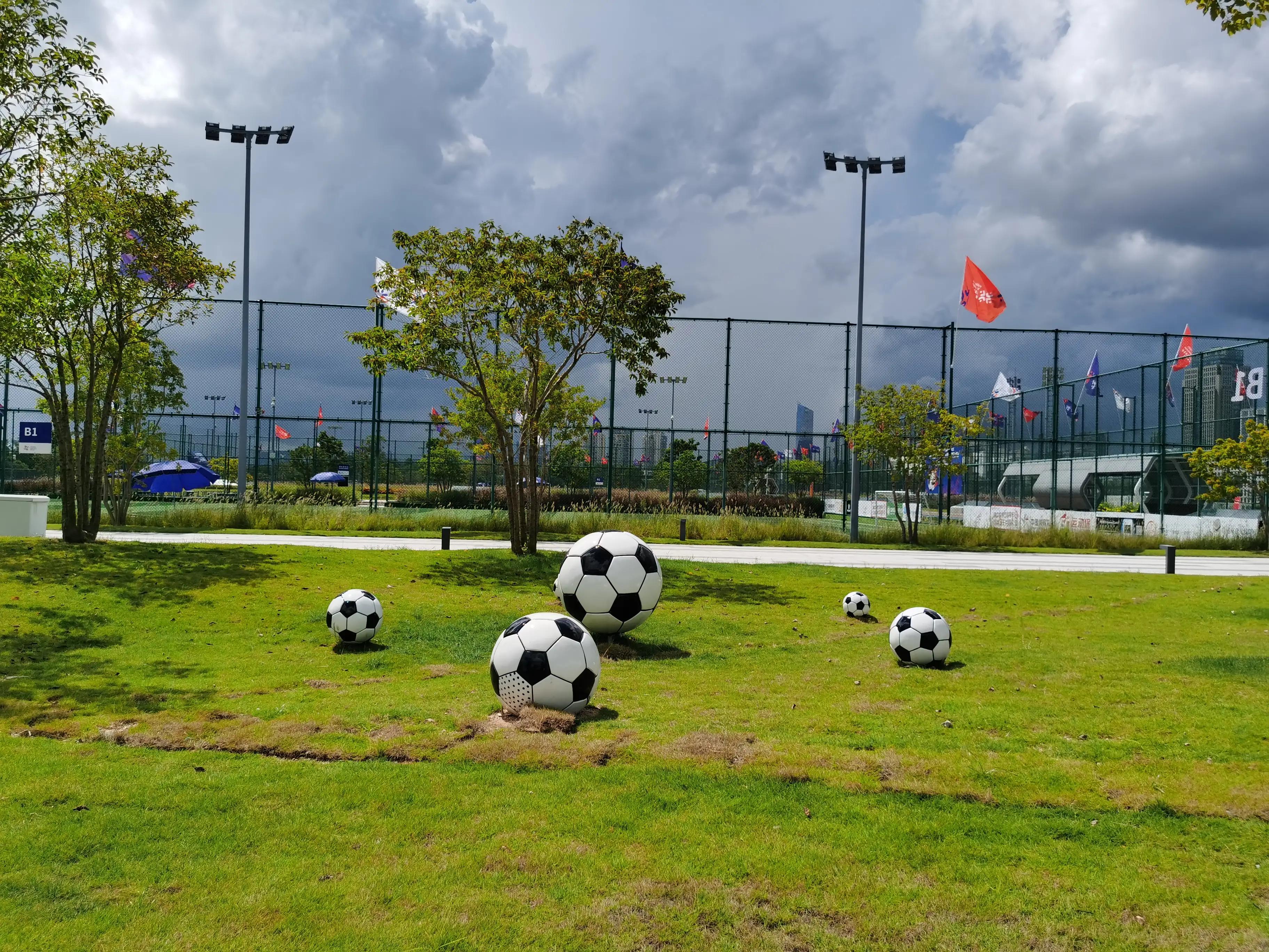海滨生态公园足球场,深圳足球生态体育公园
