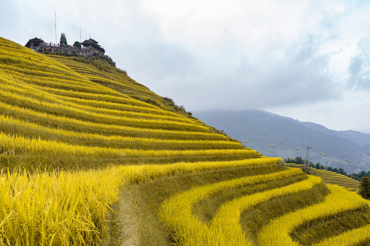 世界奇观龙脊梯田视频,世界梯田之冠桂林龙脊梯田