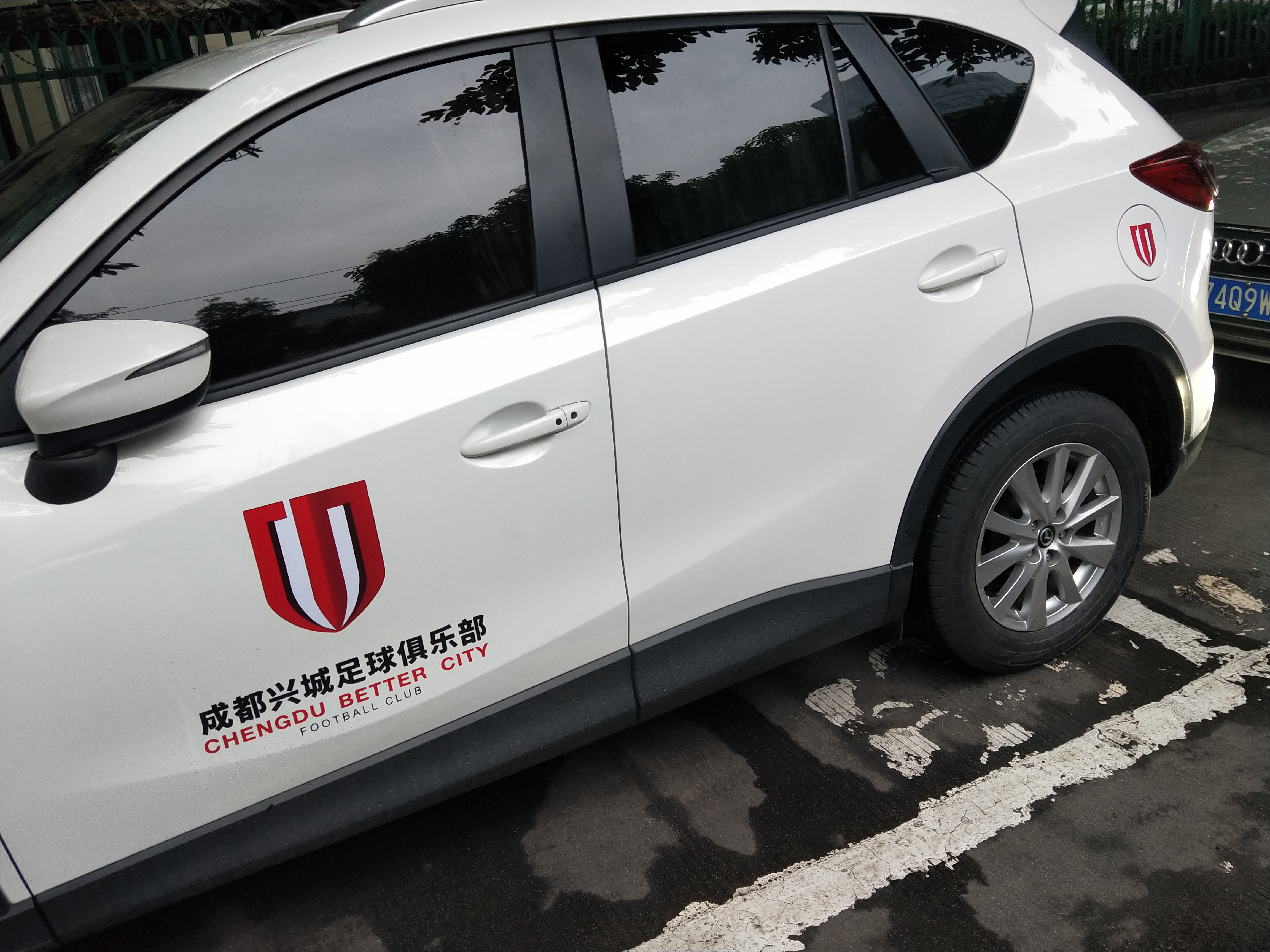 球迷故事,球迷故事分享