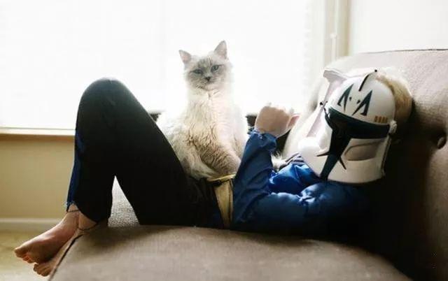 家庭伴侣宠物,家庭伴侣犬适合陪伴孩子的小型犬