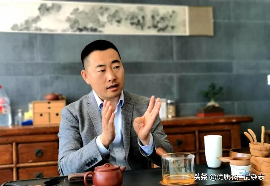 大姜种植技术大全和利润,无公害姜种植技术