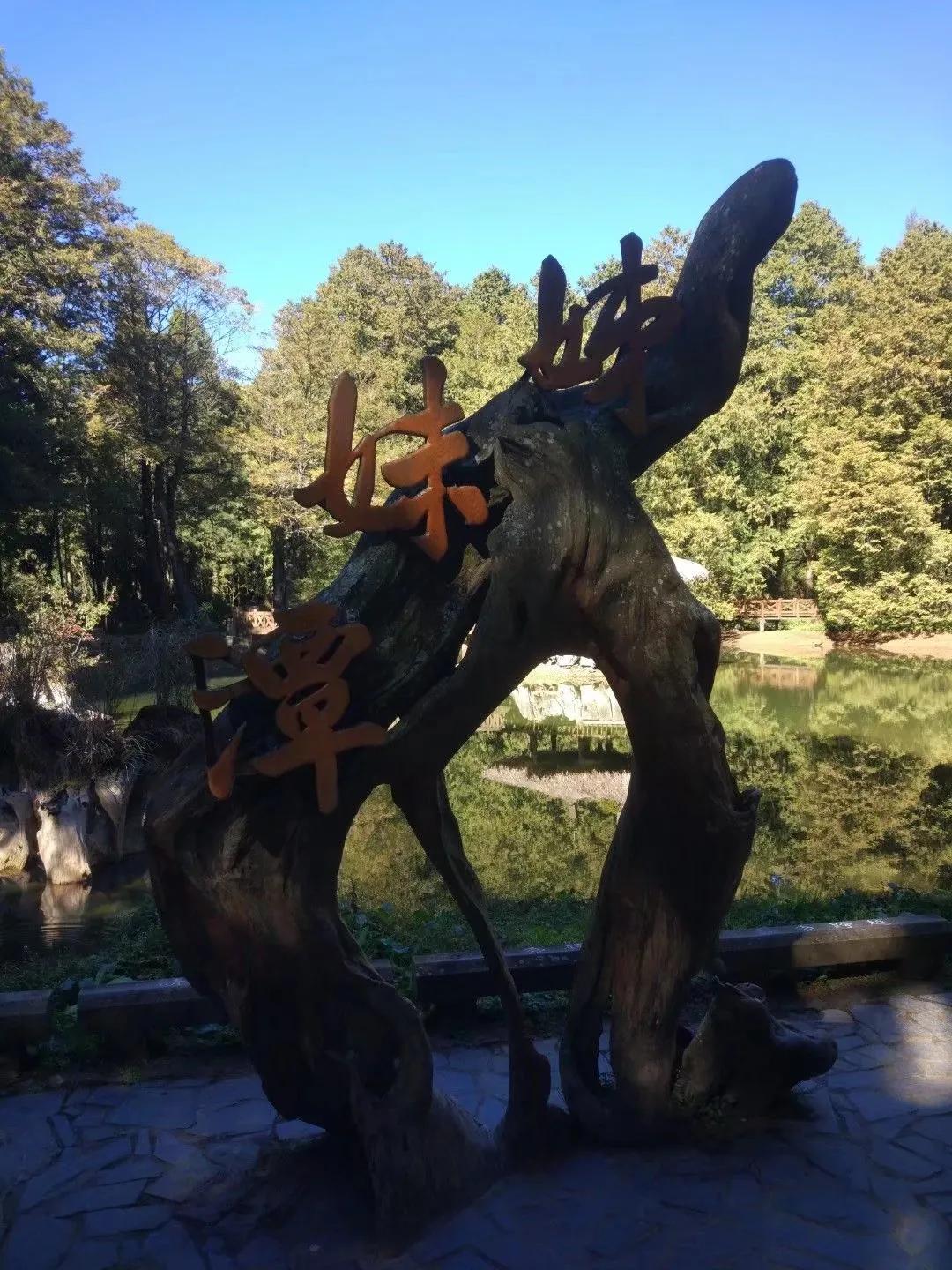 徐州醉美阿里山,醉美阿里山和金帝豪