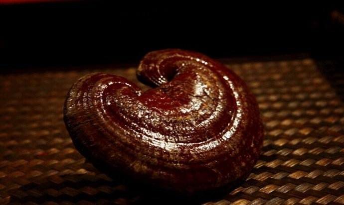 中国十大名植物,中国十大吉祥动物名称