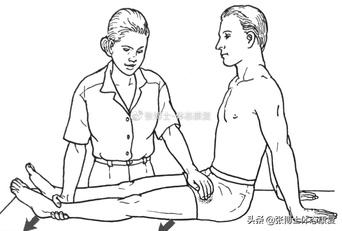 「功能训练」人体额状面稳定性与侧向子系统的关系