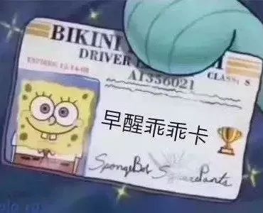 电音群,电音组合成员排行榜