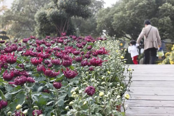 2018十大感人瞬间感谢你,谢谢2018完整视频