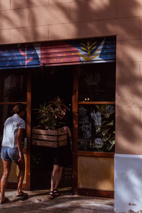 开花店的十大忠告,开花店的人现在都怎么样了