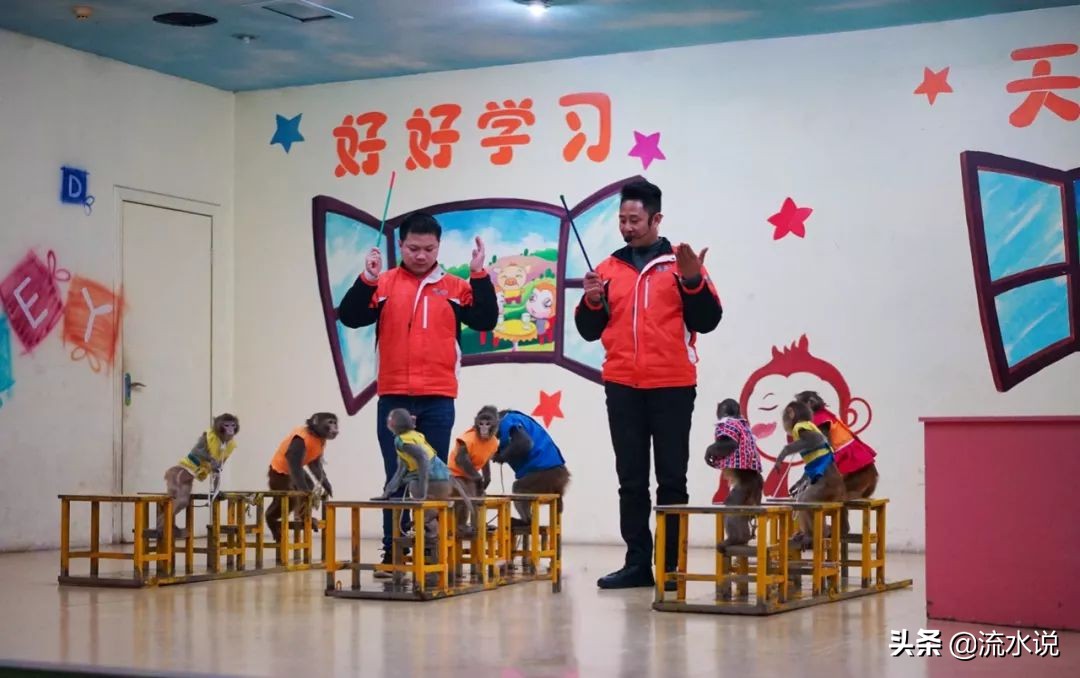 江浙沪必去打卡点清单,打卡江浙沪旅游景点视频