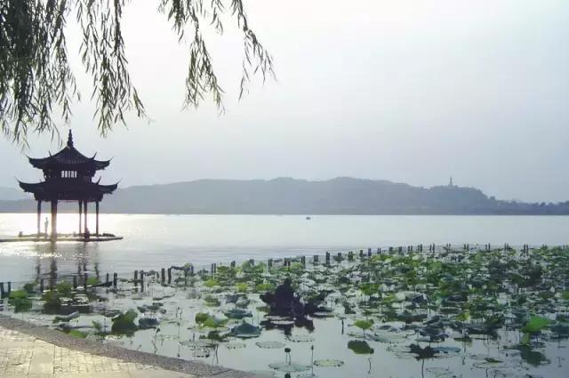 亭台楼阁轩榭廊舫的区别简笔画,关于亭台楼阁轩榭廊舫的视频