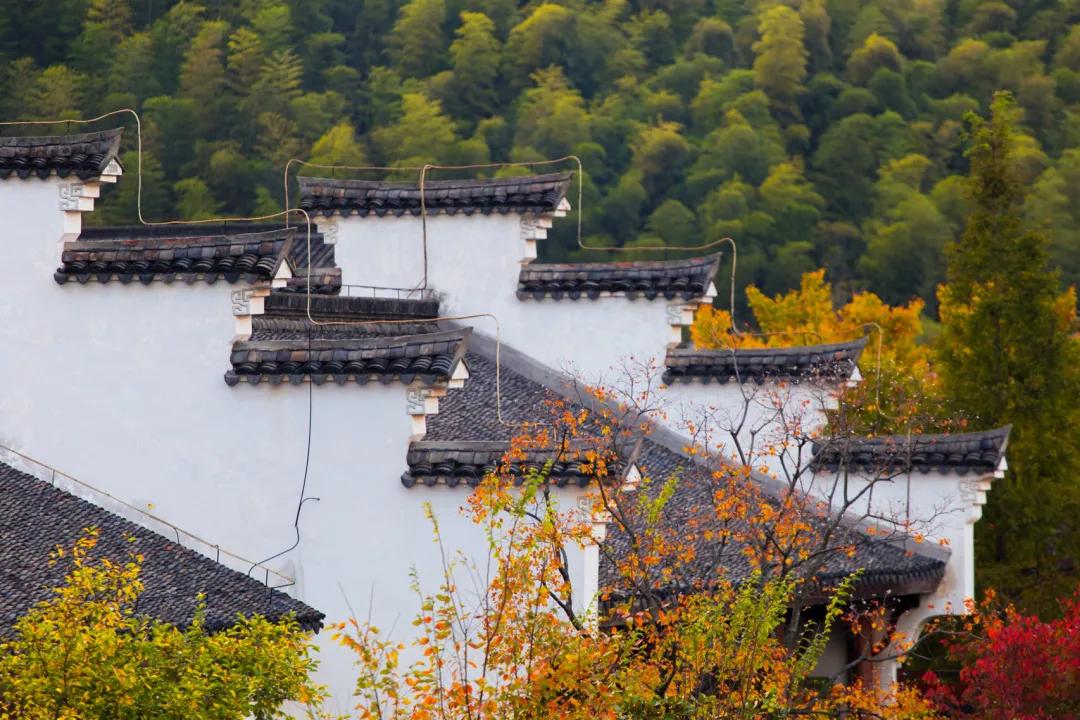 江浙沪冬日温泉泡汤周走起,春节江浙沪2-3天短途旅游温泉