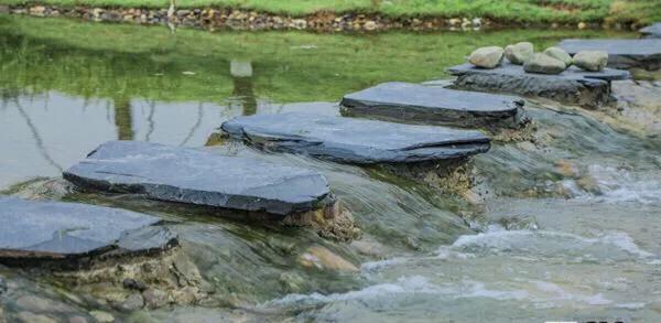 深圳花海公园地址在哪里,深圳中心河公园花海