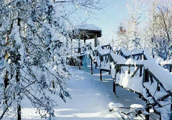 整改后的雪乡怎么样,雪乡整改后的真实感受